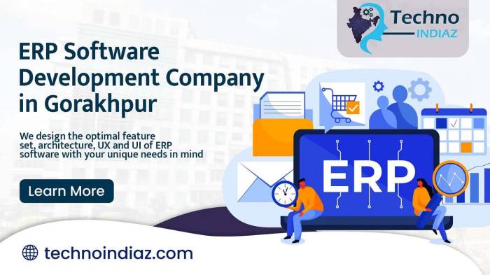 ERP software for affordability