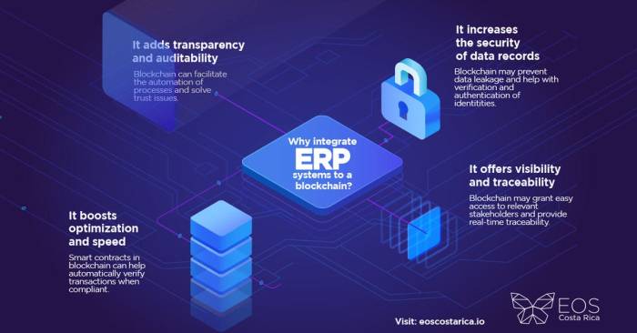 Erp systems blockchain integrating into medium costa rica