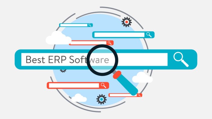 ERP software for environmental standards