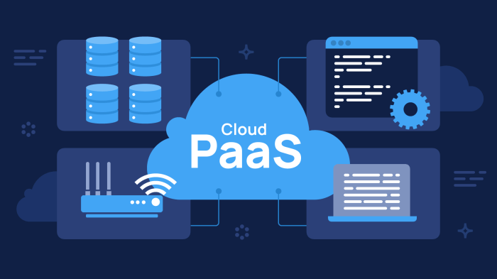 ERP software for PaaS