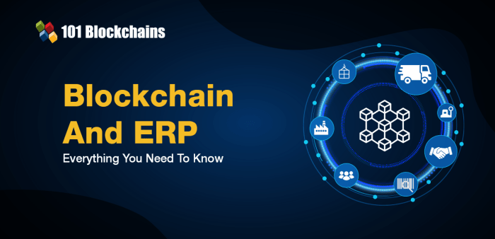 Erp blockchain streamlining hasib anwar reviews