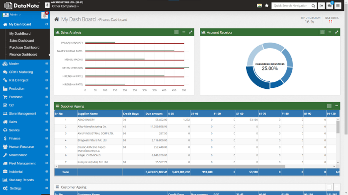 ERP software for dashboards tools