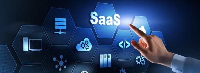 ERP software for managed SaaS services