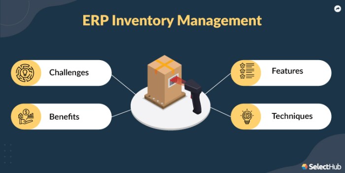 ERP software for inventory management