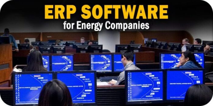 ERP software for energy