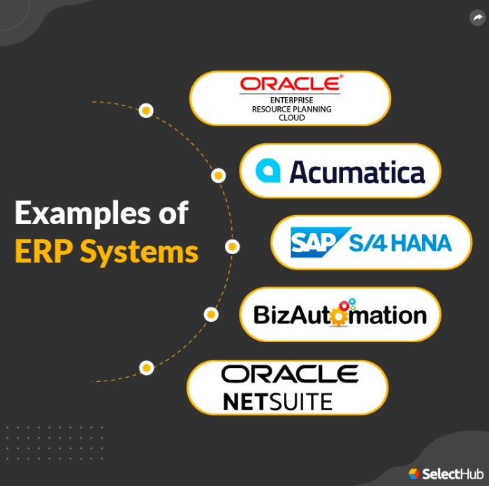 ERP software for internal control