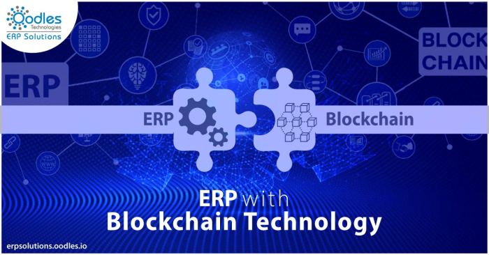 ERP software for blockchain