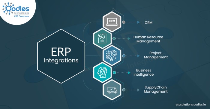 Erp integration jelvix