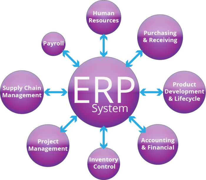 Erp upgrade solution sap vector infographics charts marketing web reasons circle puzzle service components details