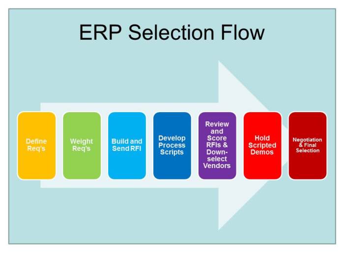 ERP system selection