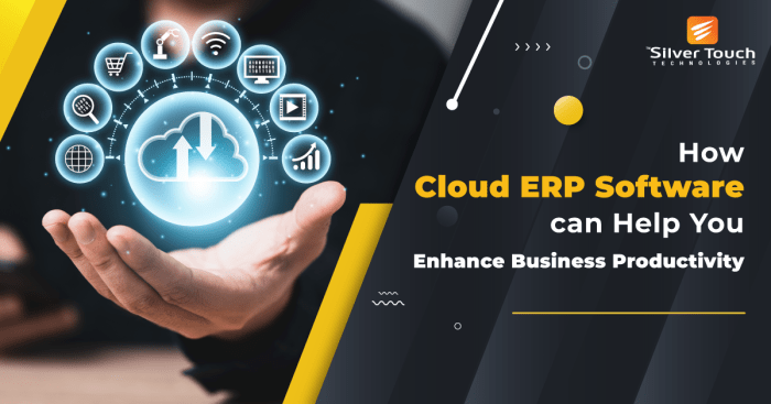 ERP software for cloud deployment