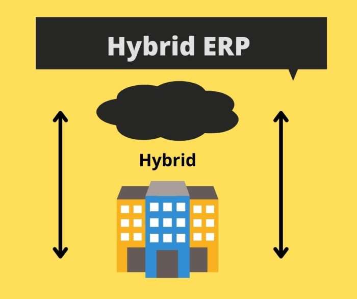 ERP software for hybrid deployment