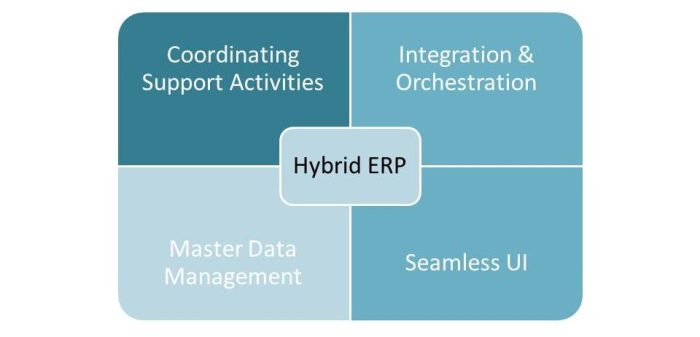 ERP software for hybrid deployment