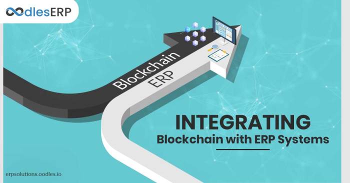 Erp blockchain integration need know