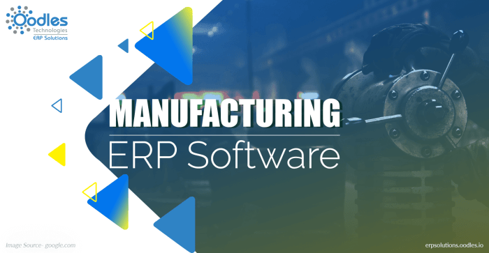 Erp capabilities specific