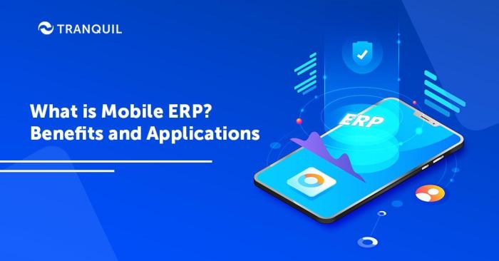 ERP software for mobile tools