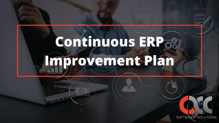 ERP software for continuous improvement