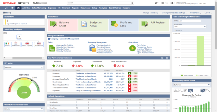 Erp software netsuite business small systems tools