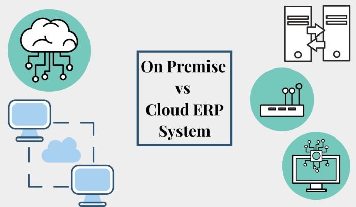 On-premise ERP systems