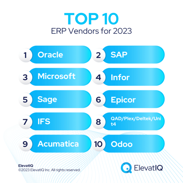 Erp vendors