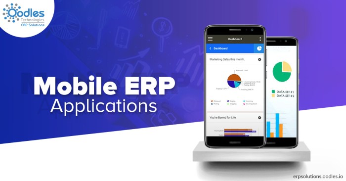 ERP software for mobile apps tools