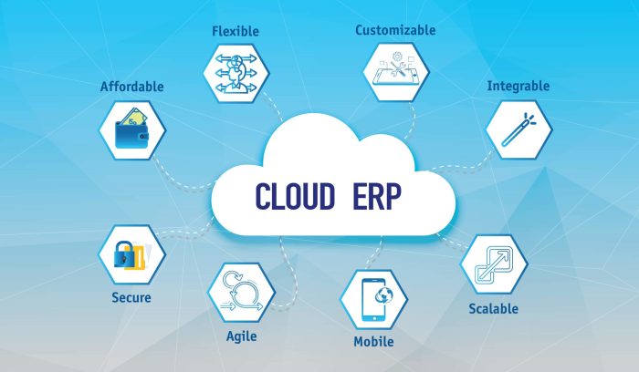 ERP software for cloud computing