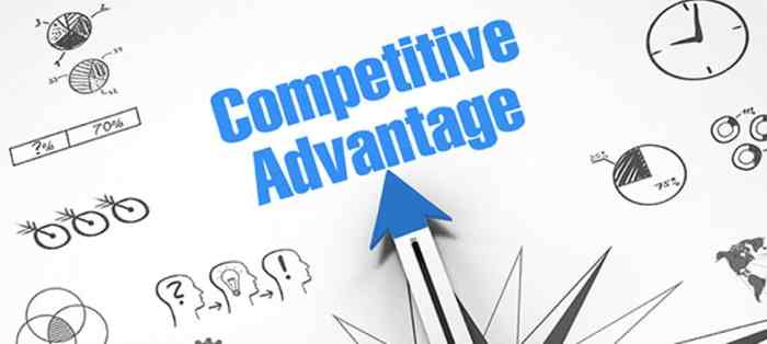 ERP software for competitive advantage