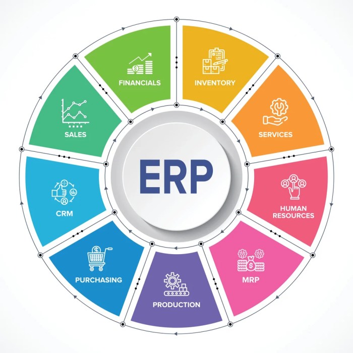 ERP software for internal control