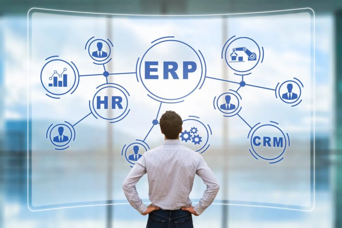 ERP software for implementation