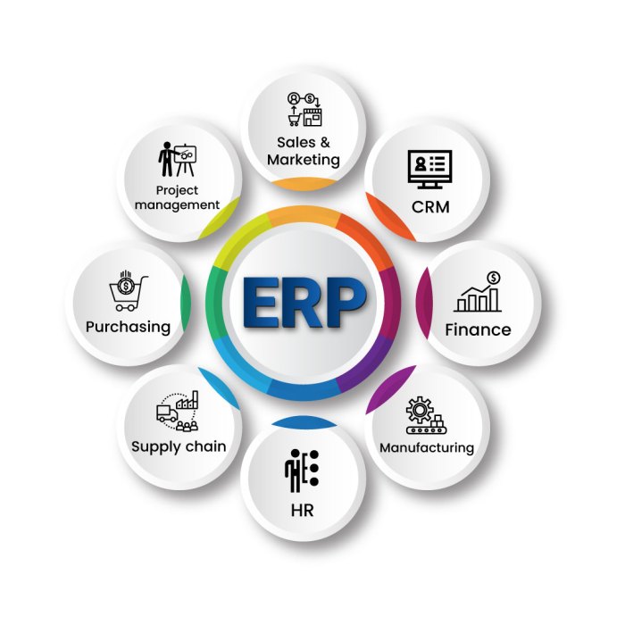 ERP software for business process management