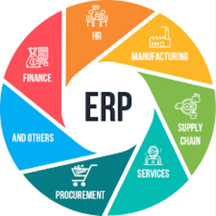 Sap erp overview