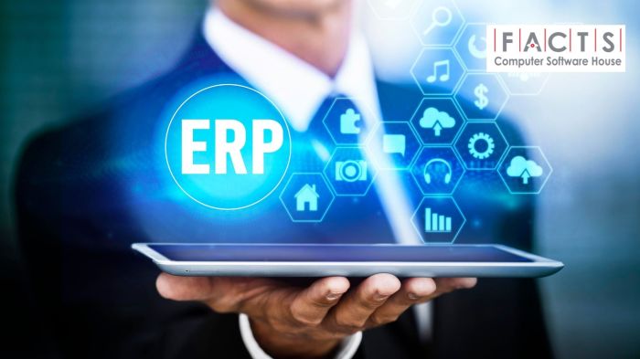 ERP system future