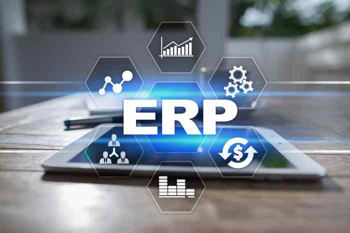 Erp netsuite