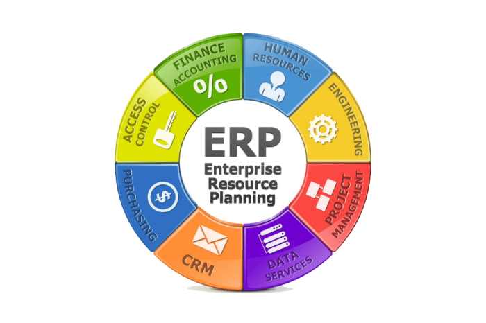 ERP system for specific industries