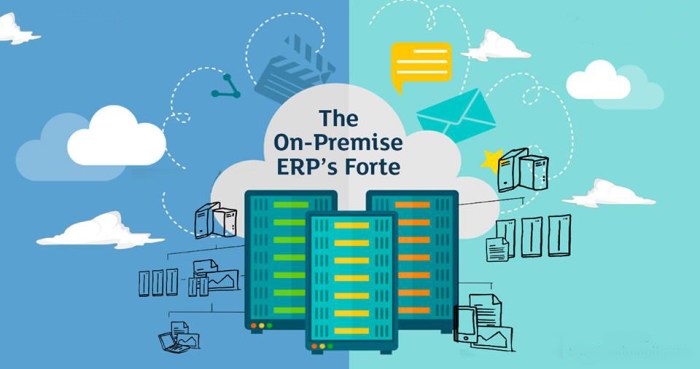 Erp premise cloud vs data