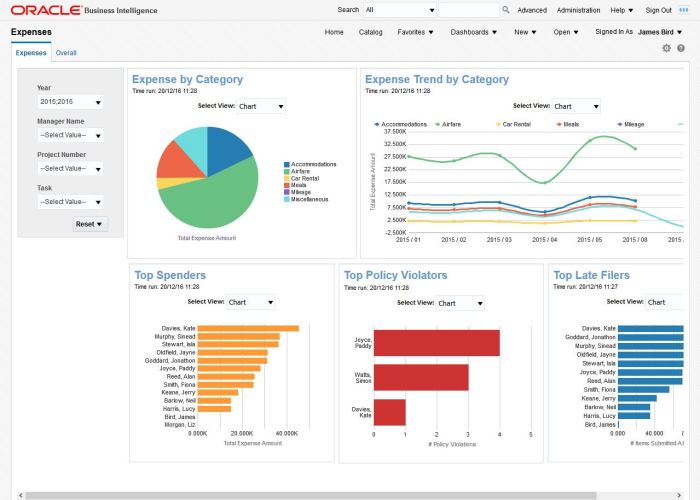 ERP software for reporting tools