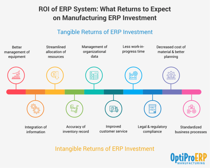 ERP system ROI