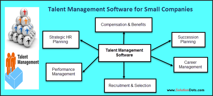 ERP software for talent management